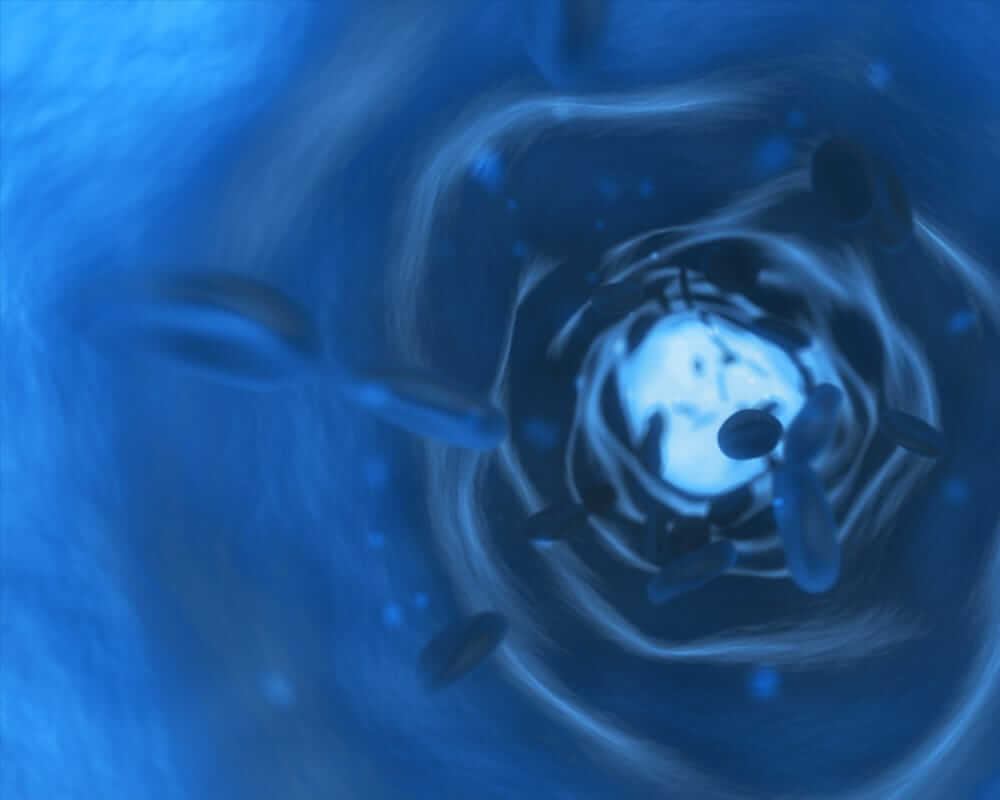 Ehd Covid 19 Response Plan